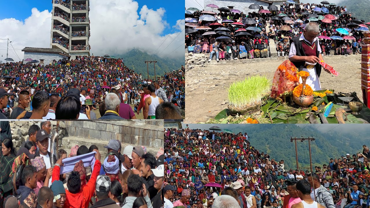 Dashain festival  in barpak gorkha बारपाक दशै  update  अषटमी  नवमी पुजा २०८१