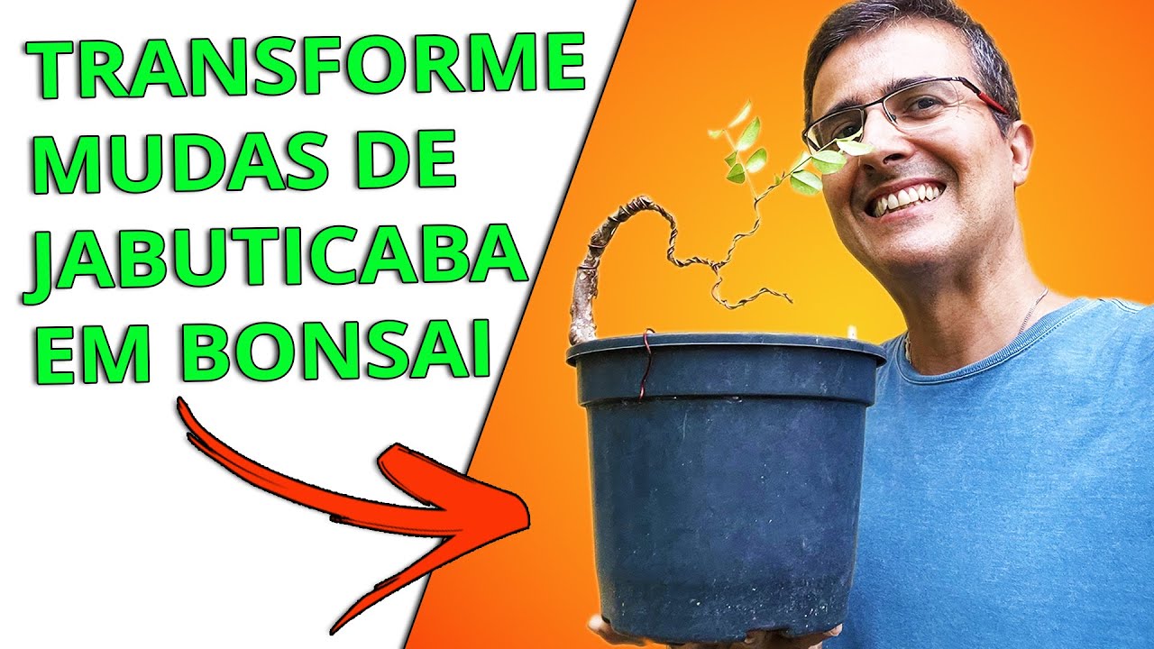 Transforme mudas de Jabuticaba em Bonsai - Primeiro Passo!!!