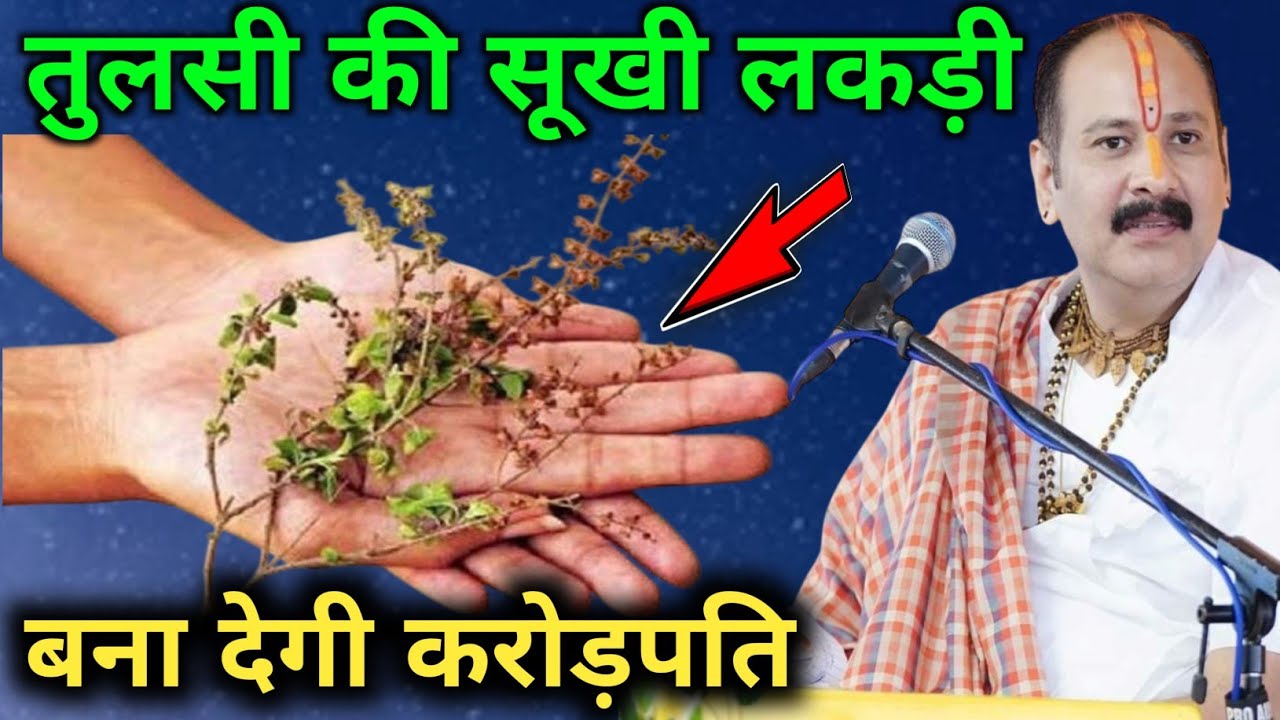 मां लक्ष्मी ने स्वयं बताया कि तुलसी की सूखी लकड़ी बना देगी धनवान Premanand Ji Maharaj | Vastu tips