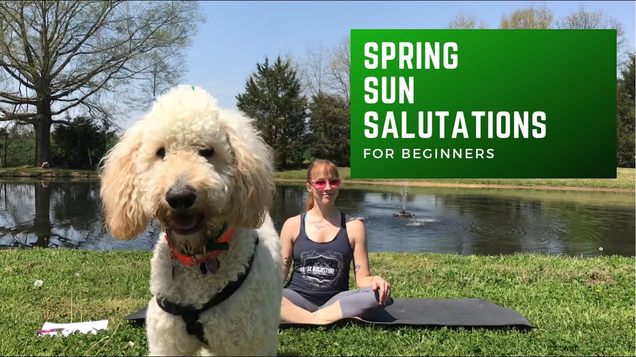 25 Minute Spring Sun Salutation Yoga | Yoga for Beginners | Welcome Spring!