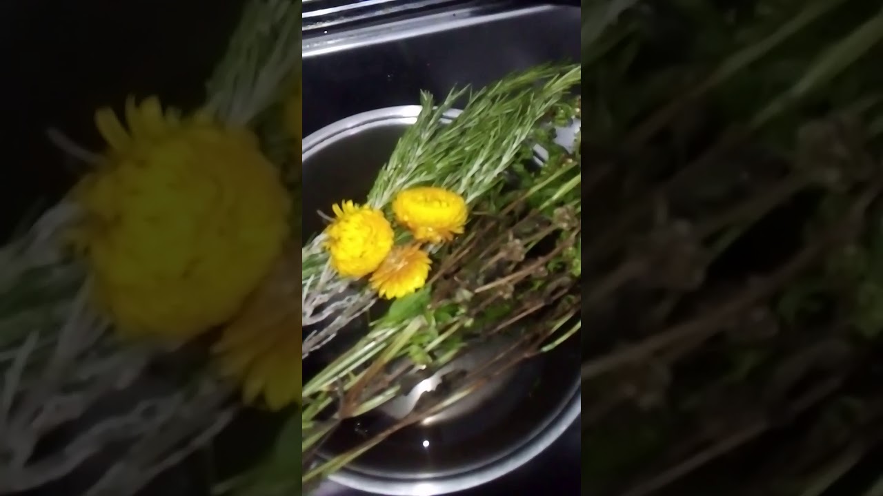 Baños mágicos