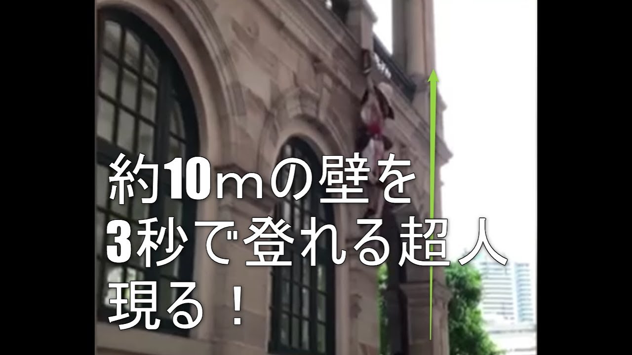 【パルクール】次元違いのスピード感！双子トレーサー特に壁キック登りが秀逸すぎる【神業】parkour　free running