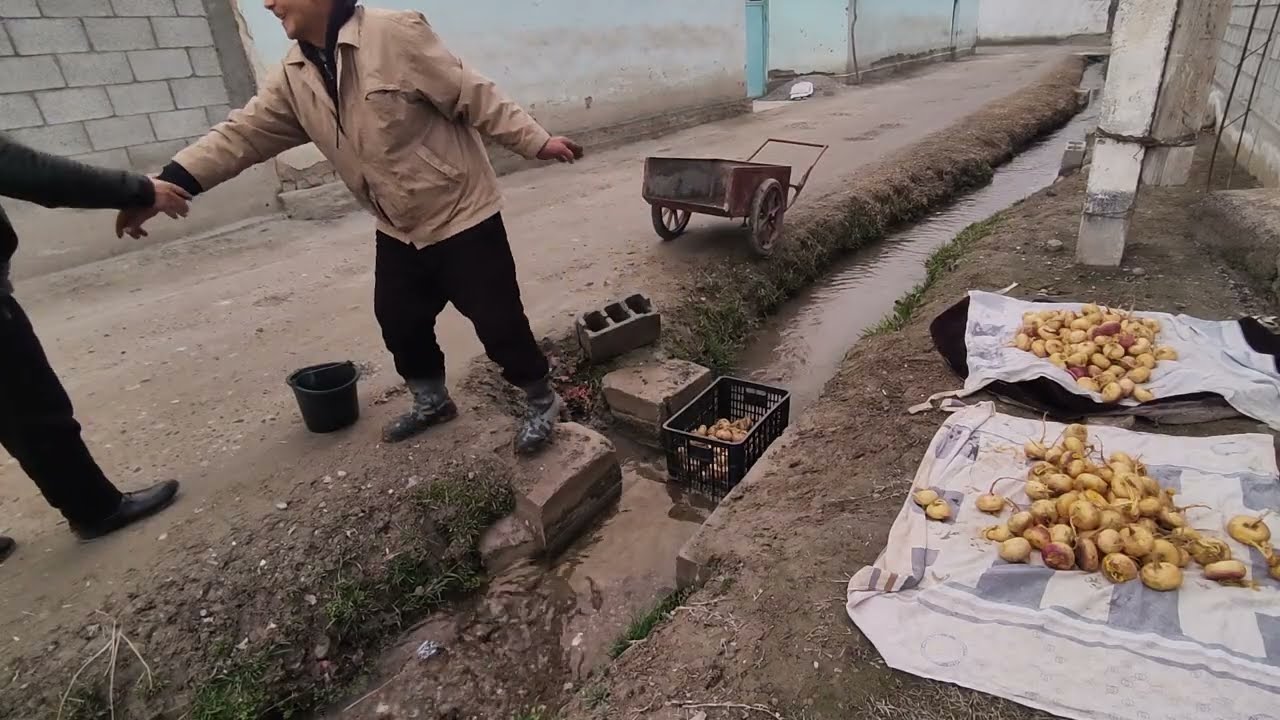Хонкизга бозор очиш керак,халк кийналяпти.