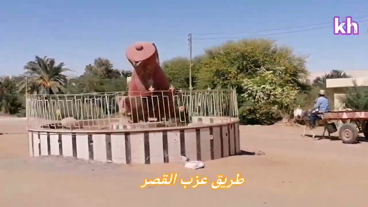 عزب القصر مركز الداخله الوادى الجديد #الواحات_الداخلة