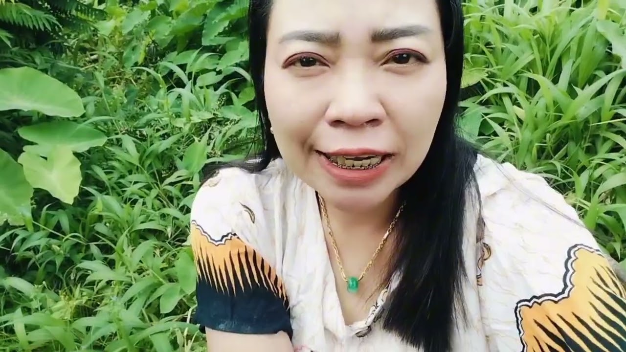 Sore-sore nandur cabe jamu ndek tegalan mburi omah Karo bojoku // Andre bagian maculi