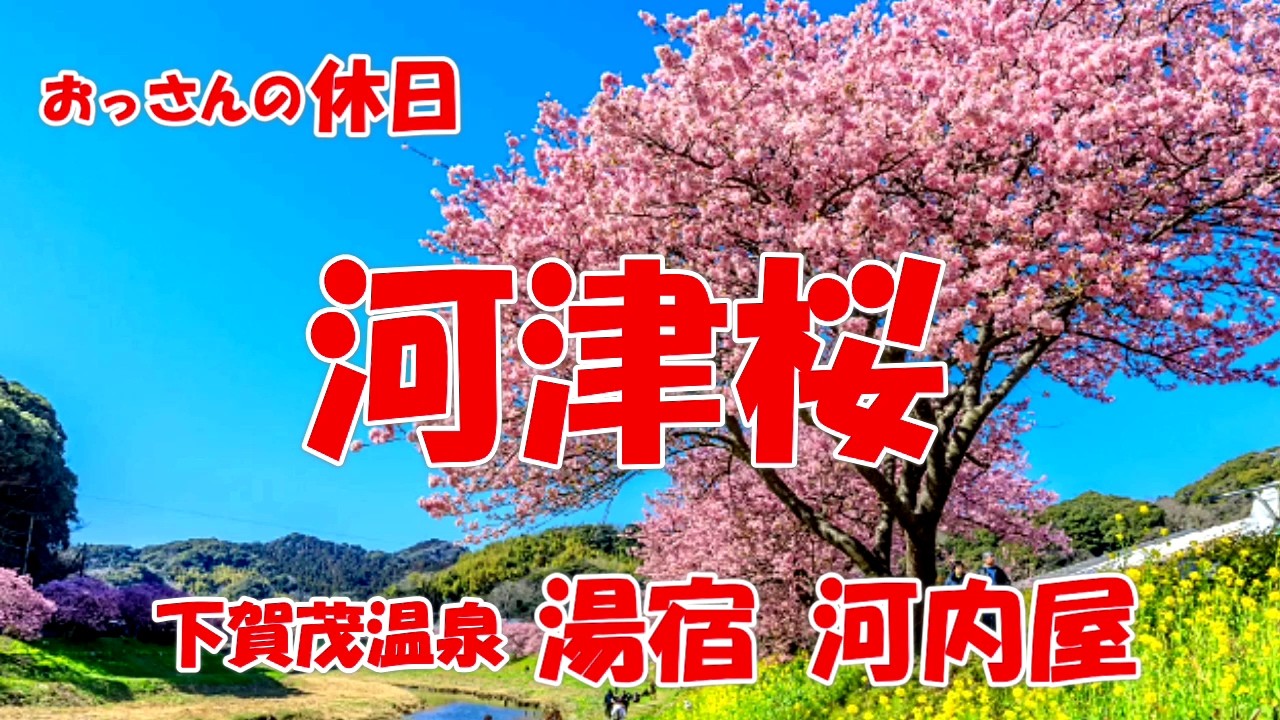 南伊豆-おっさんの休日-下賀茂温泉 ホテル 河内屋