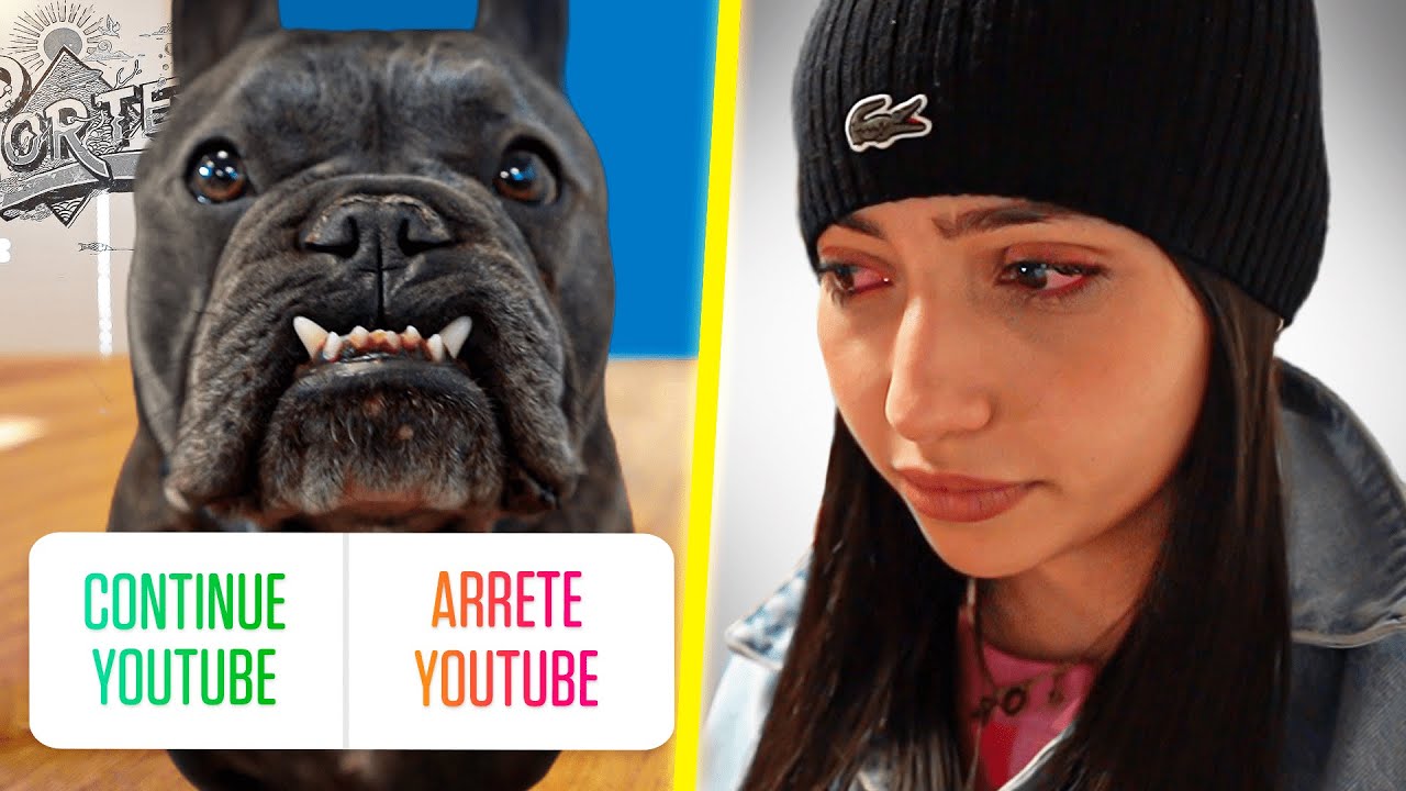 MON CHIEN CONTRÔLE MA VIE PENDANT 24H !