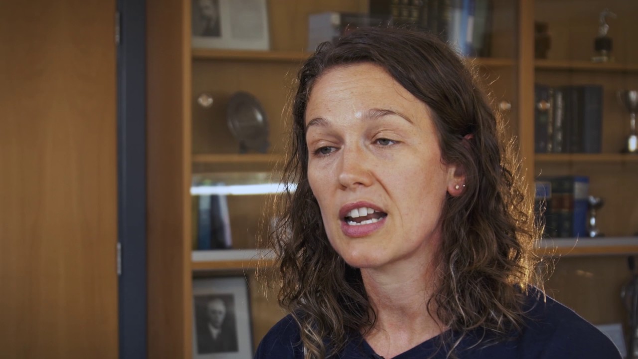 Advice for students applying for Law at The University of Manchester