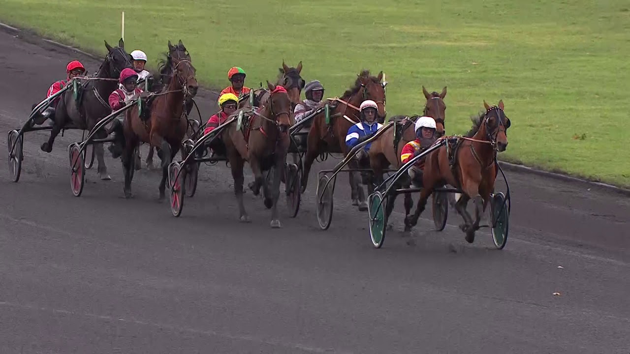 2019 GRAND PRIX DE FRANCE - LA COURSE - READLY EXPRESS