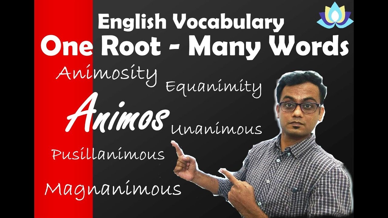 One Root Many Words - Animos - English Vocabulary Tips