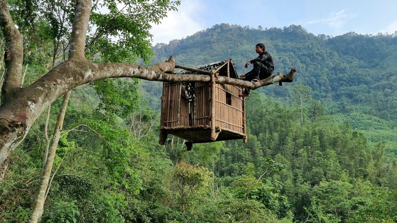 Build shelters on high trees to avoid wild animals, experience the wild life in the forest alone