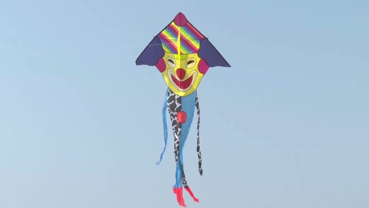 Celebrating Kite festival at statue of unity in Gujarat 