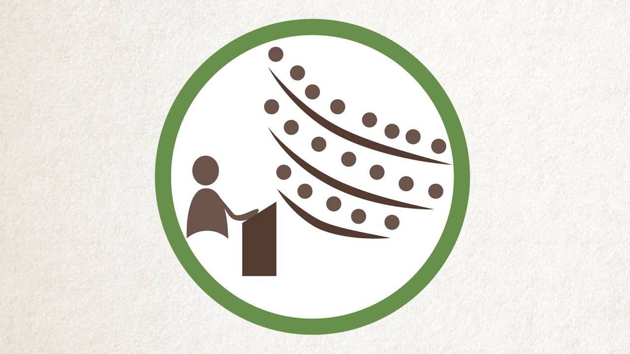 What is the Legislature (Zimbabwe)?