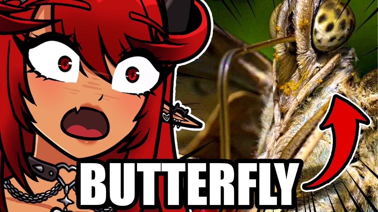 Why You Owe People Afraid of Butterflies an Apology (Reaction)
