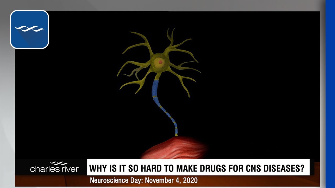 Gray Matters: Neuroscience Drug Discovery