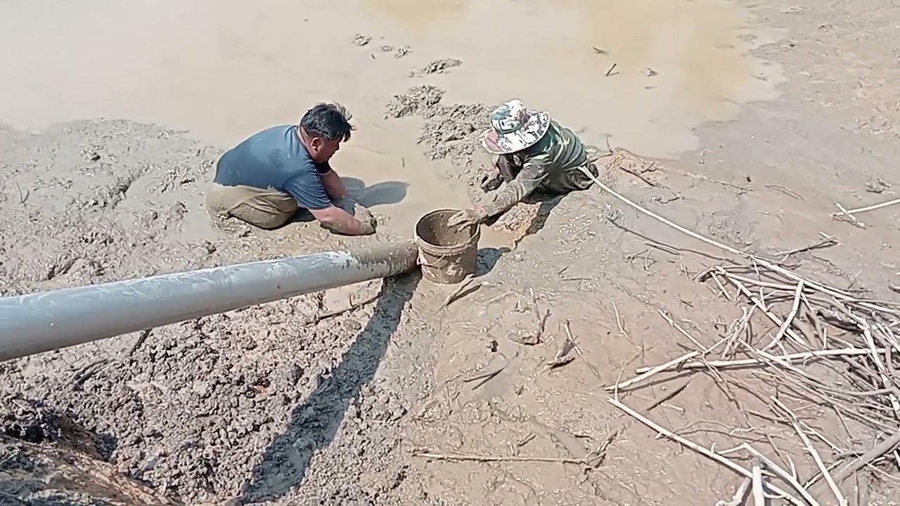 ດູດໝອງຫາງເດີ່ນ/ພໍໝັກກິນງ່າຍຢູ່ງ່າຍ