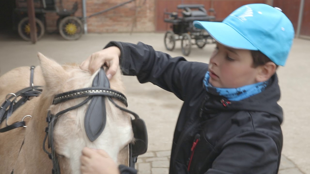 17 Stehno Štěpán