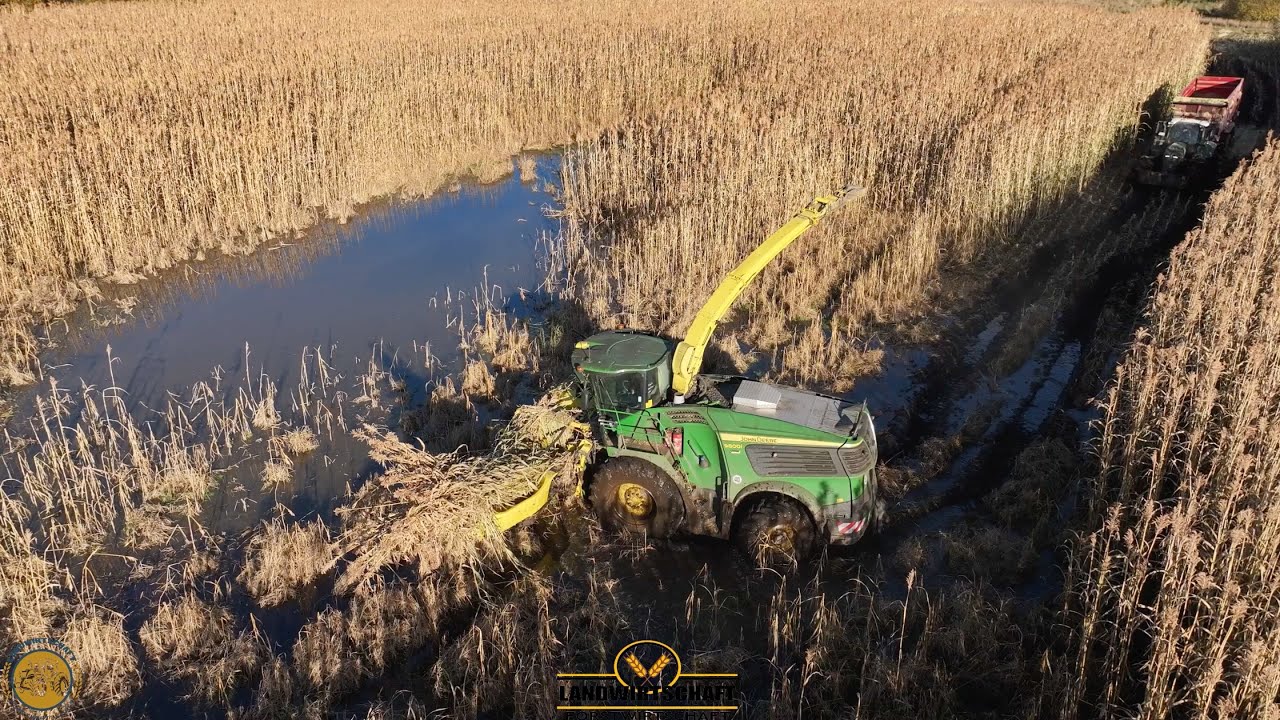 Wir häckseln in einem Teich John Deere 9800i wühlt sich durch! Schlammschlacht Hirse Häckslen 45T/ha