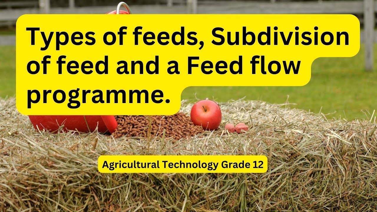 Agricultural Technology grade 12: Types of feeds, Subdivision of feed and a Feed flow programme