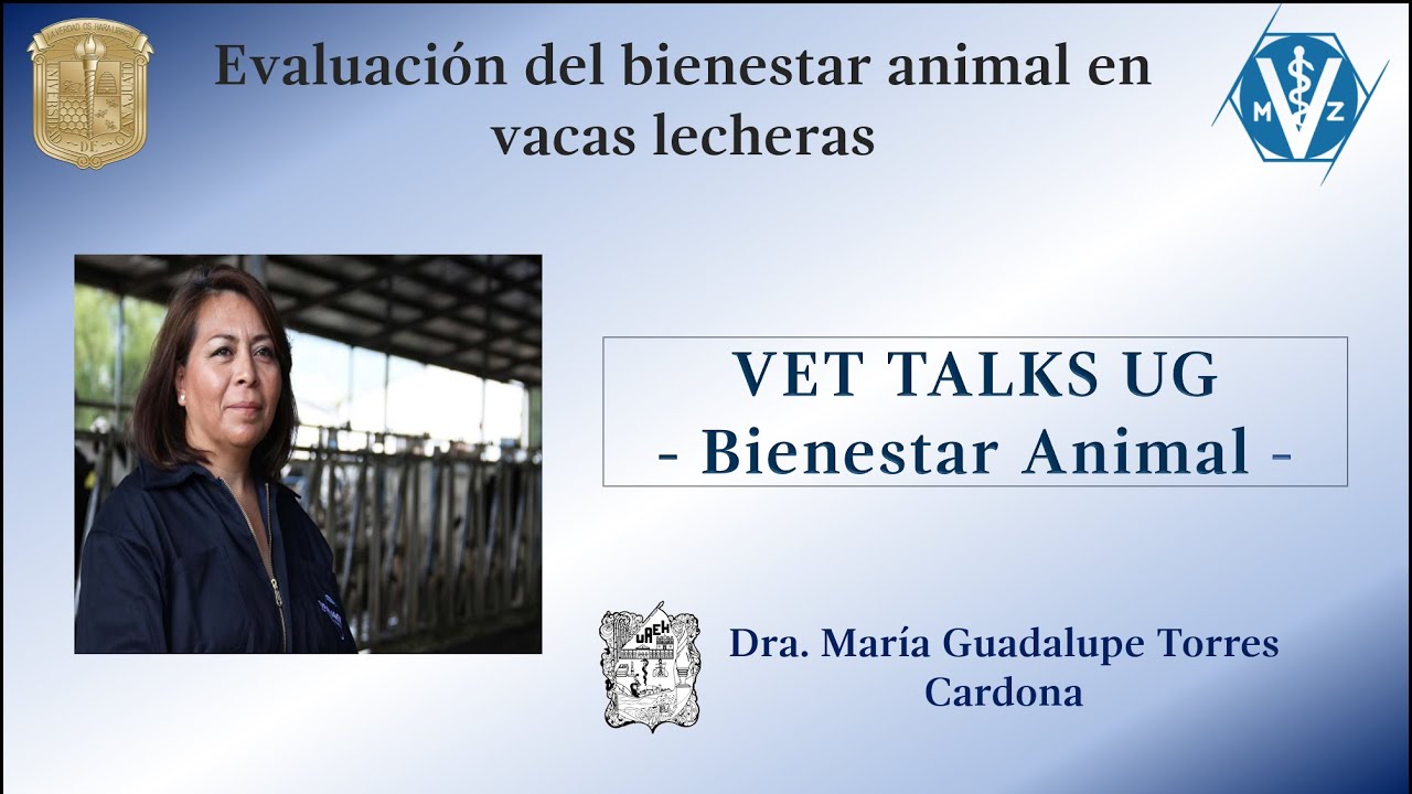 Evaluación del bienestar animal en vacas lecheras