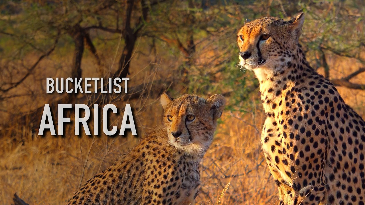 Discovering Africa | An 8 Country Adventure