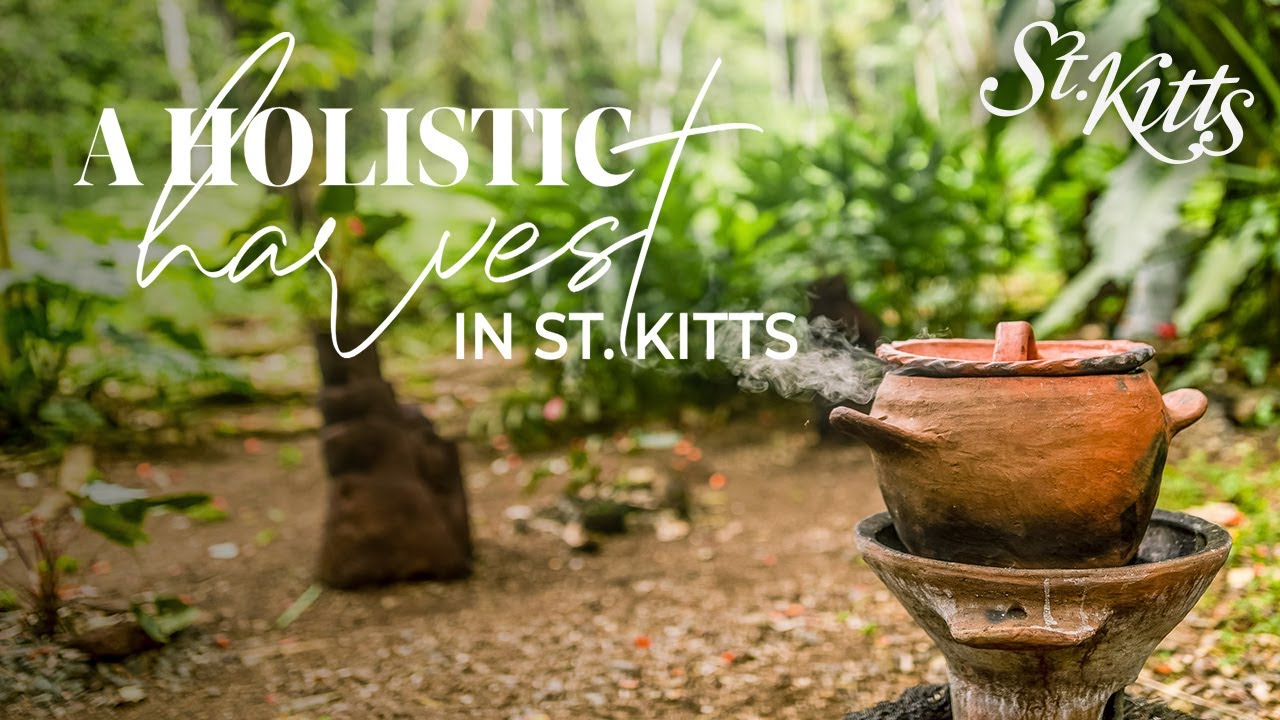 Holistic Harvest in St. Kitts | Liamuiga Natural Farms