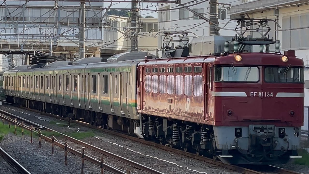 【4K高画質】最終配給😢【E231系S-02編成５両  AT入場配給（機器更新※全更新）】国鉄EF81形134号機＋E231系1000番台ｺﾂS-02編成が大船駅通過！（配9844レ）2025.5.8