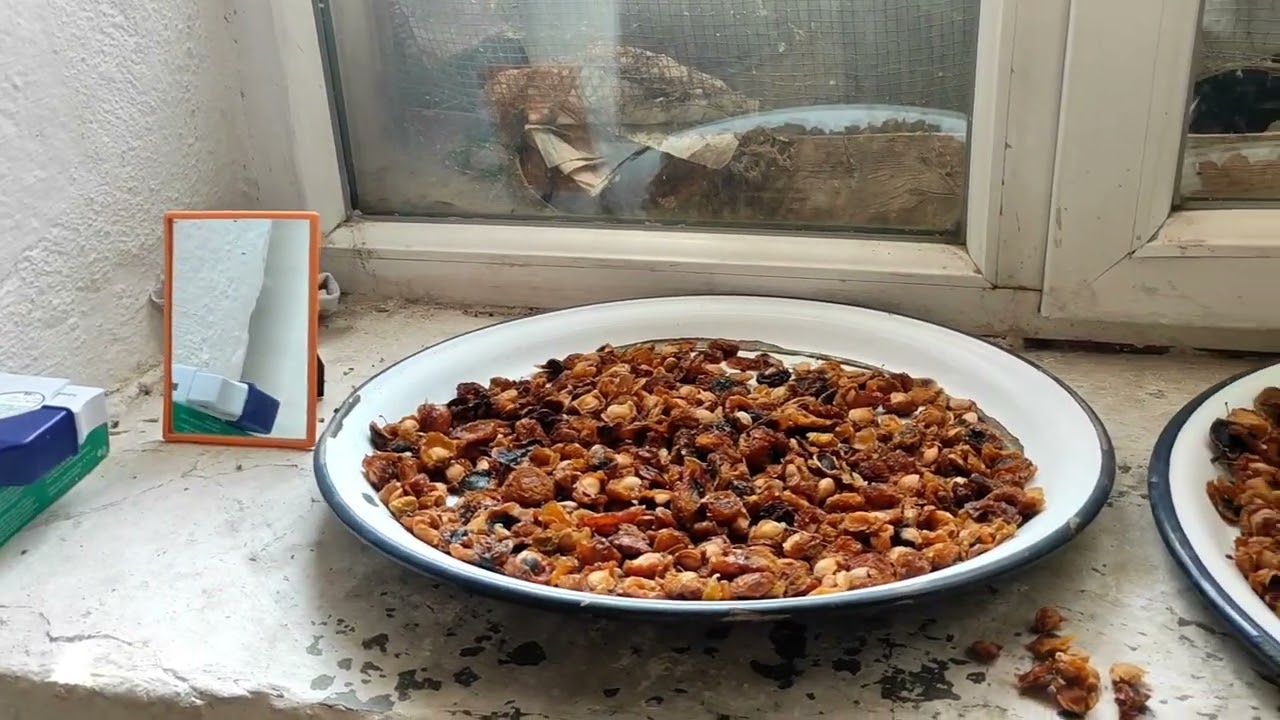 Kayseri yahyalı DELİALIUŞAGI koyü ❤️