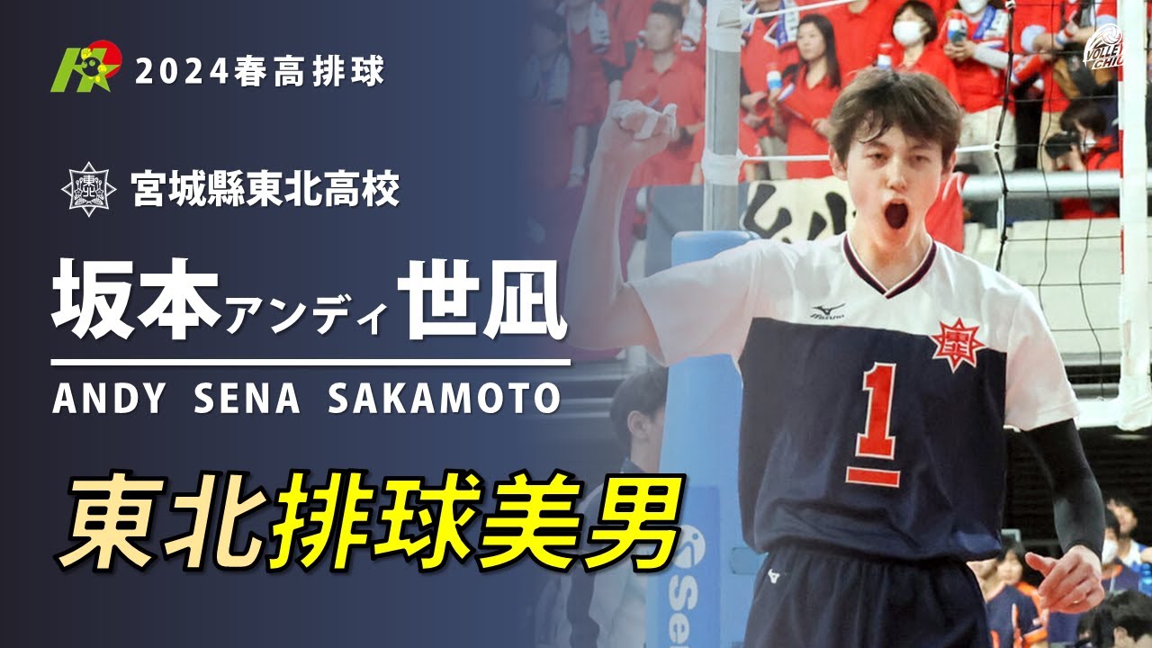 【坂本アンディ世凪Sakamoto Andy Sena】東北排球美男 2024春高排球合輯Hightlights