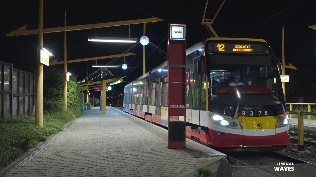 Liminal Train Journey | Empty Station & Night Ambience Experience