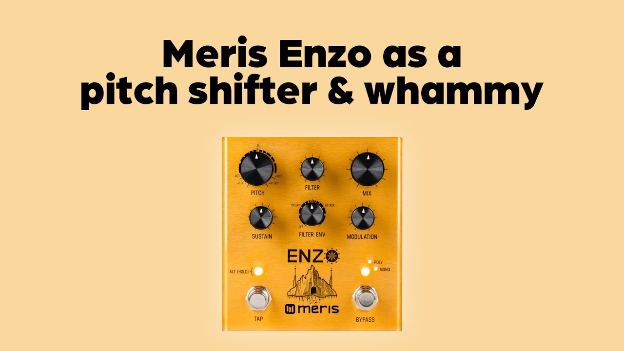 Meris Enzo as a pitch shifter & Whammy