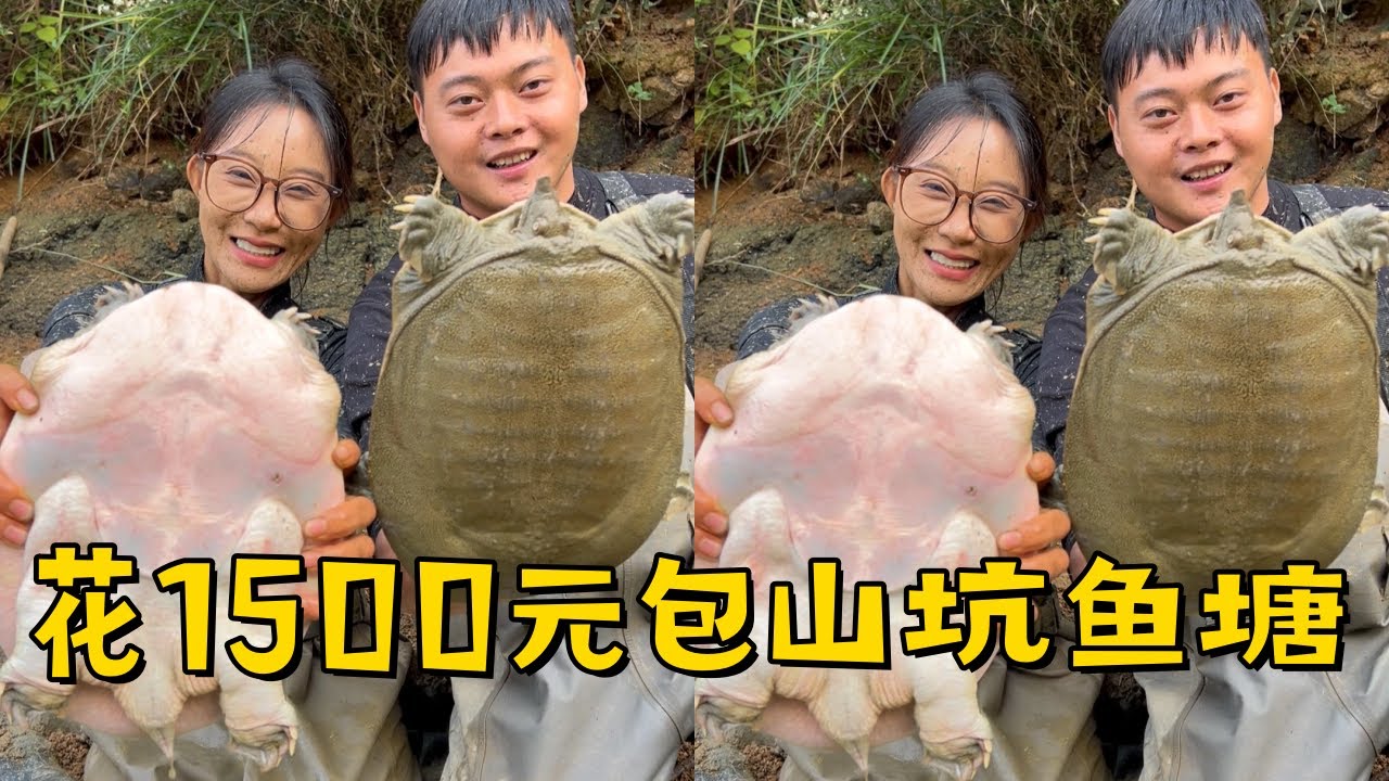 小姨子花1500元包下山坑小鱼塘，差点被坑好在有好货！
