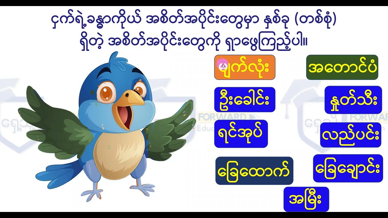 Grade-2 သိပ္ပံ ၊ အခန်း ၄၊ ငှက်များနှင့် အင်းဆက်များ (လေ့ကျင့်ခန်း)၊  Forward Education Center
