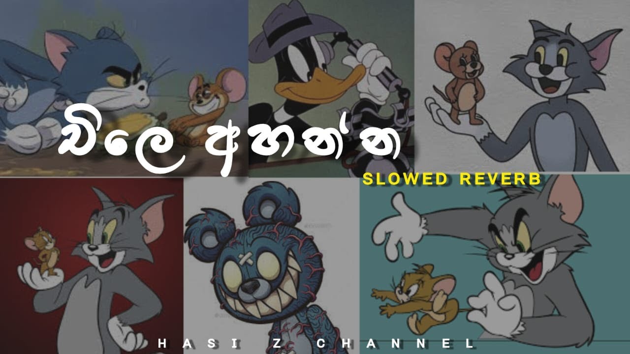 Chill එකේ අහන්න |Sinhala Slowed Song Collection | Perfectly slowed Song 🌝🤍@HaSIZchannel