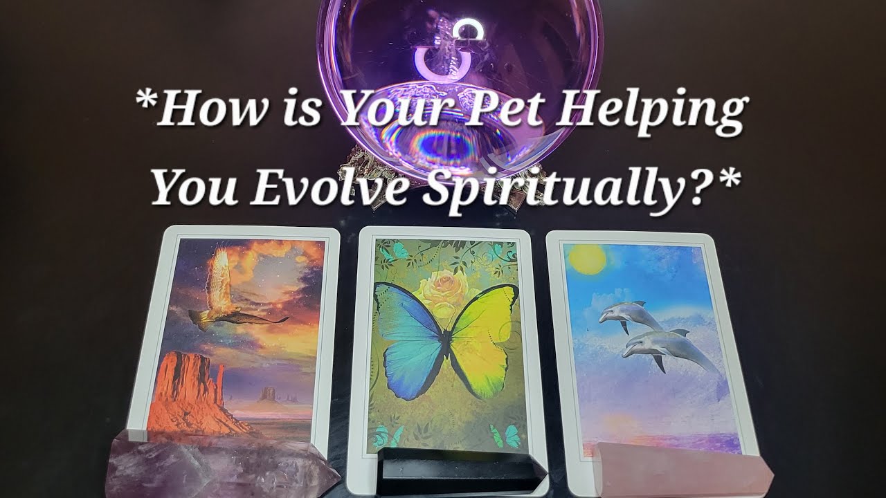 *How is Your Pet Helping You Evolve Spiritually?* *Powerful Messages* *Pick a Card* 😊💖🙏🐶😺🦜🐴🐠🐸🐰🐾
