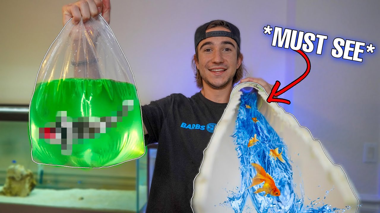 THOUSANDS OF FISH FOR FISH WATERSLIDE... (did it work?)