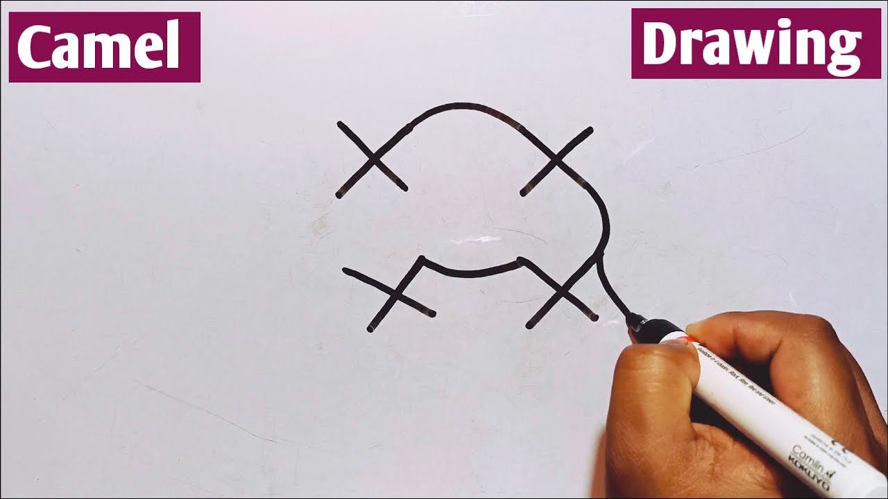 How To Draw A Camel From XXXX | How To Draw A Camel Easy Step by Step For Beginners