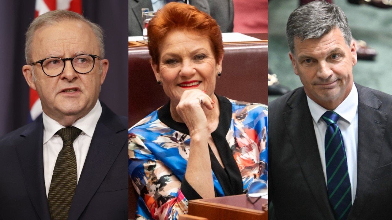 Hanson crushes Labor and Coalition on immigration as both parties panic