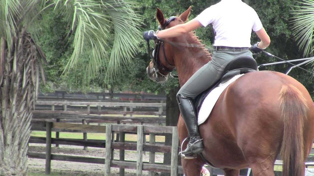 Nadia Riding Dulchi 11-22-14 pt 2
