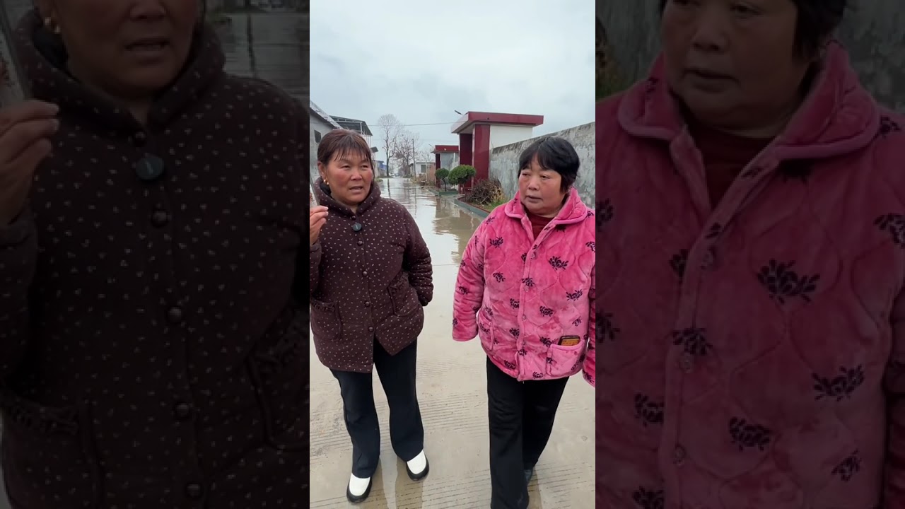 Home Sweet Home: Embrace the Creator's Support Program