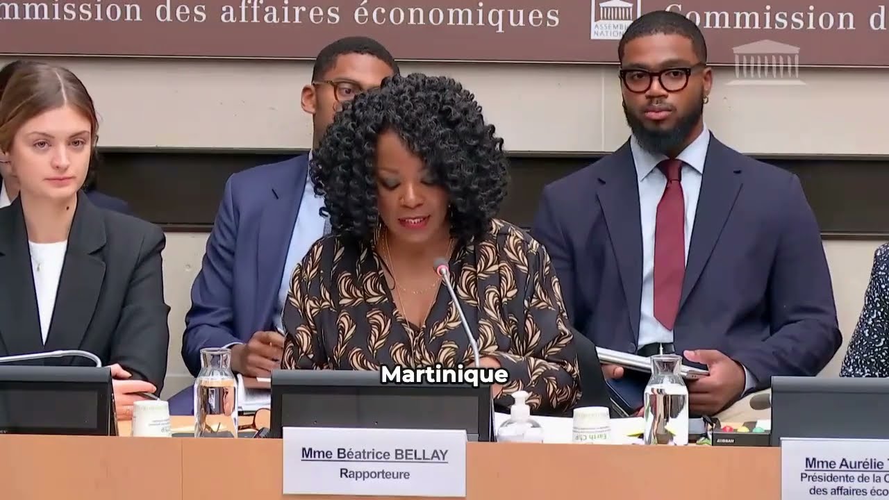 Béatrice Bellay présente son Projet de loi contre la vie chère en Commission le 4 décembre 2024
