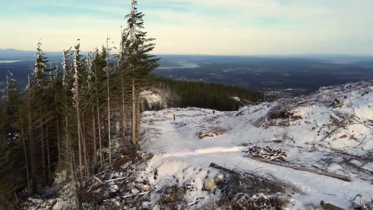 Tiger Mountain | Seattle&rsquo;s Closest Hike