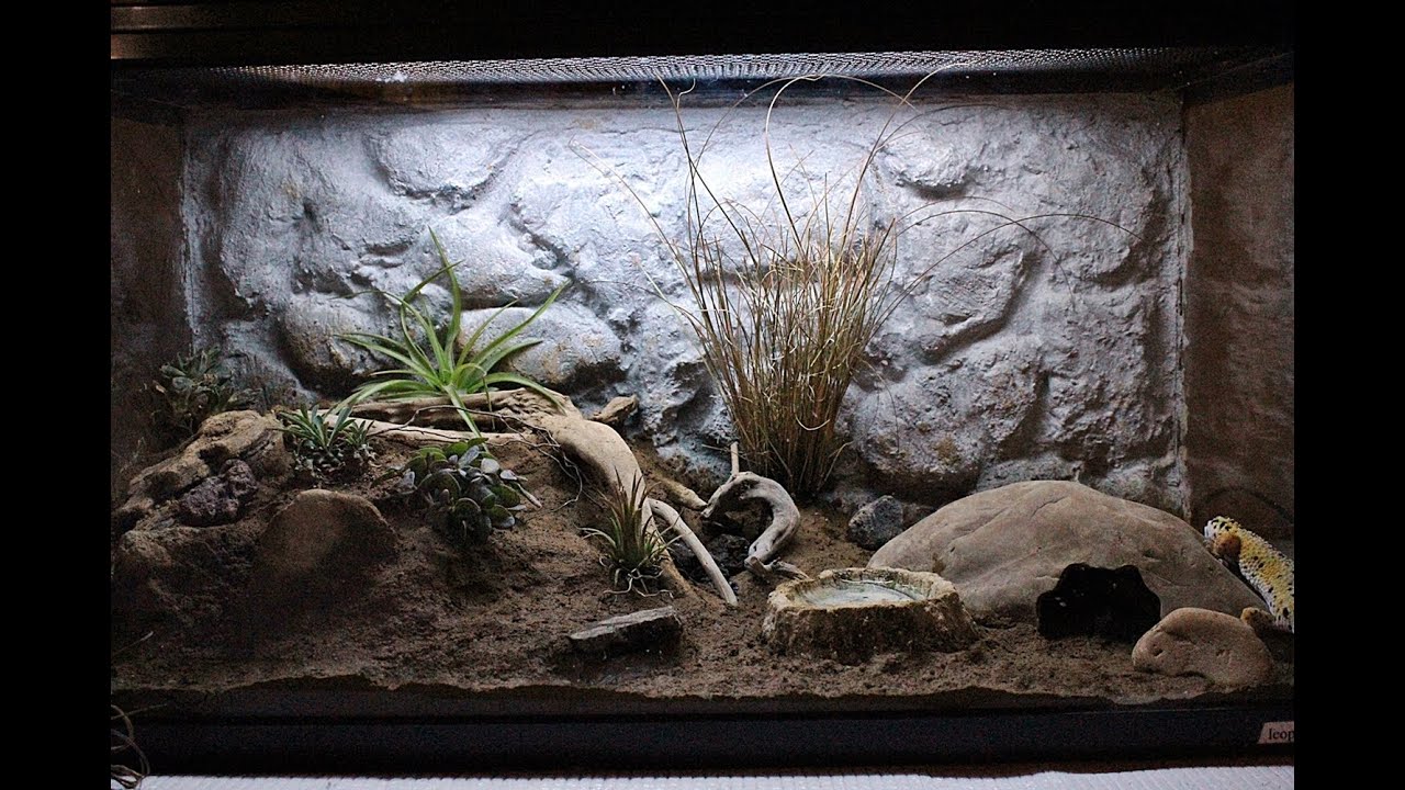 Dry Vivarium Build [HD]