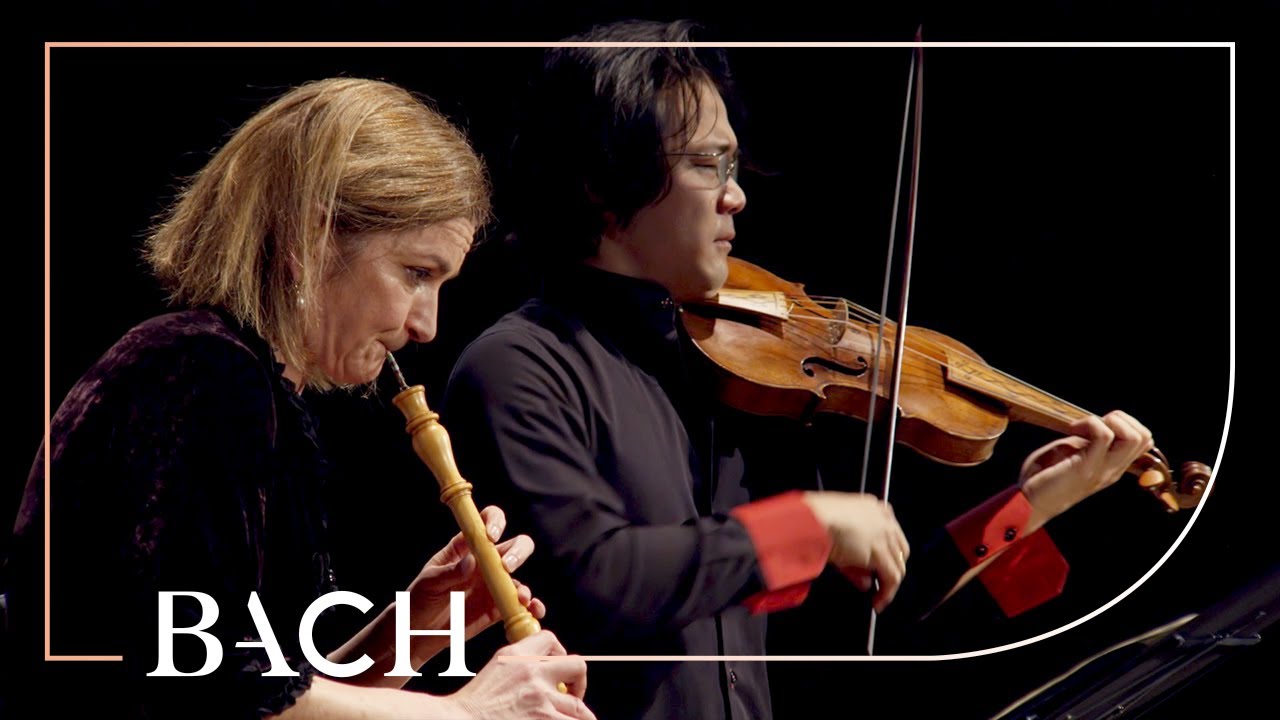 Bach - Concerto for Oboe and Violin in C Minor BWV 1060R - Black and Sato | Netherlands Bach Society