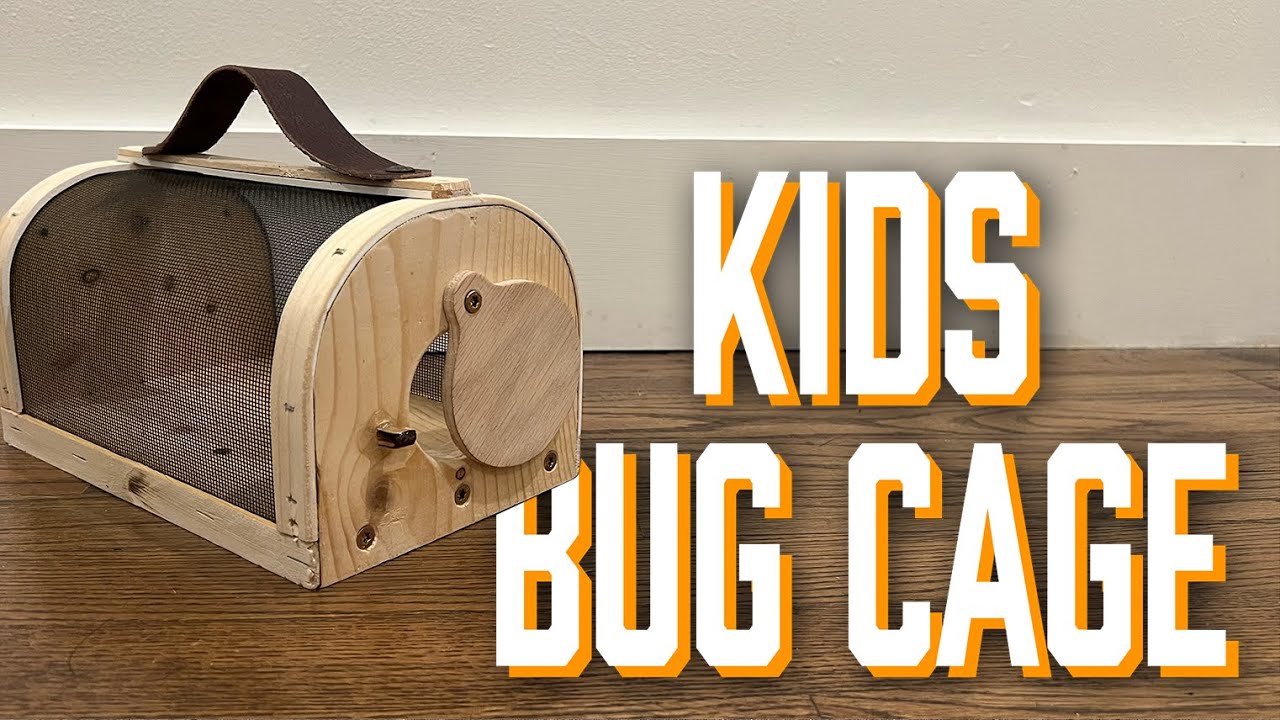 Kid's DIY Bug Cage