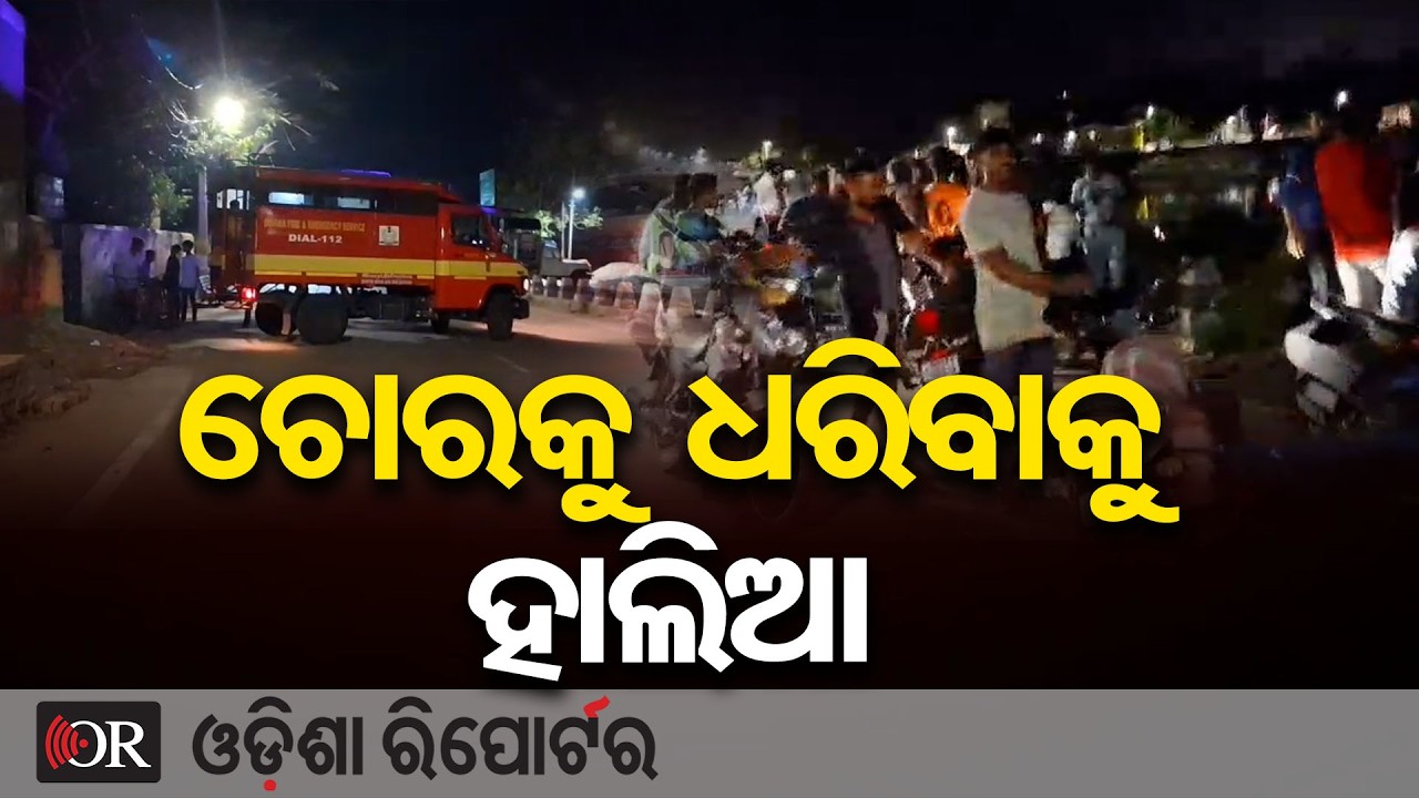 ଚୋରକୁ ଧରିବାକୁ ହାଲିଆ | Odisha Reporter