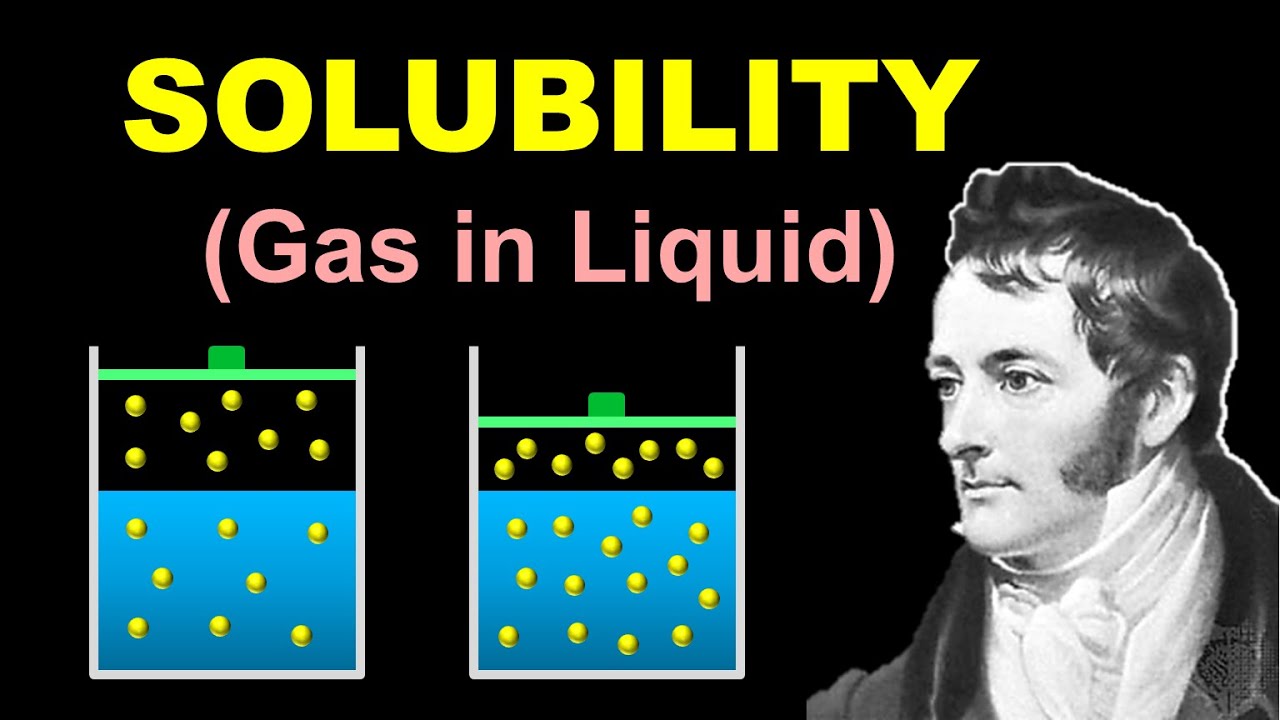 SOLUBILITY of Gas in Liquid 🔴 HENRY'S LAW 🔴 Solutions 3.2 🔴 Class 12 Chemistry