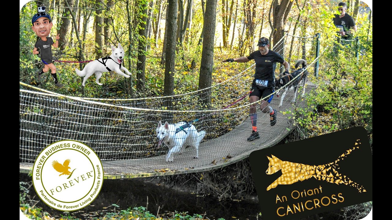 canicross 7km Pacé 2018 avec Sam & Ivy le BBS