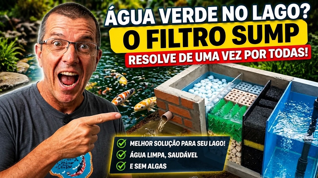 Melhor FILTRO Biológico para Lagos Ornamentais É o SUMP! (Alta Eficiência e Baixa Manutenção)
