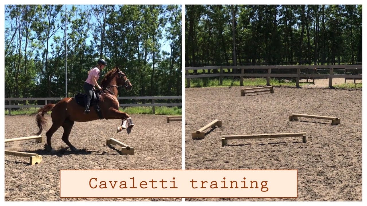 Cavaletti training